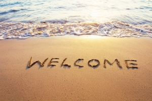 Добро пожаловать!